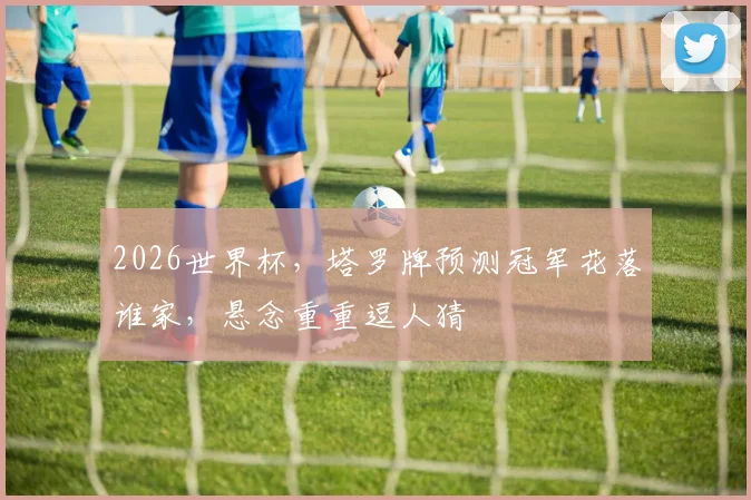 2026世界杯，塔罗牌预测冠军花落谁家，悬念重重逗人猜