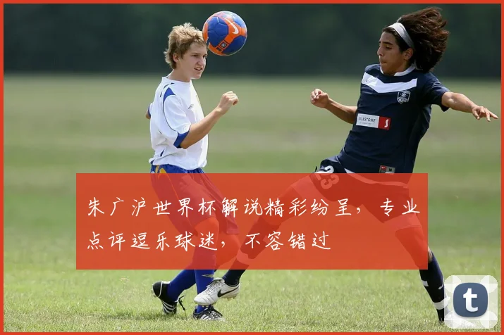 朱广沪世界杯解说精彩纷呈，专业点评逗乐球迷，不容错过
