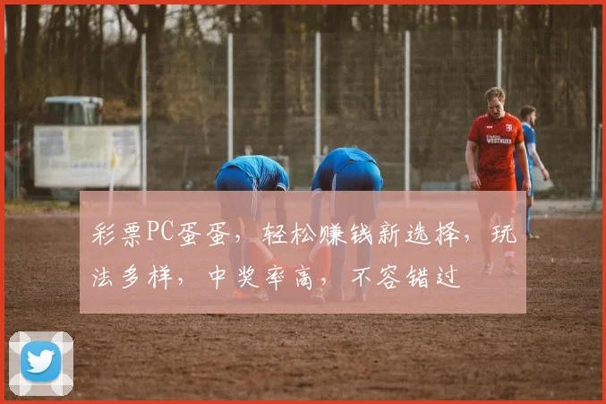 彩票PC蛋蛋，轻松赚钱新选择，玩法多样，中奖率高，不容错过