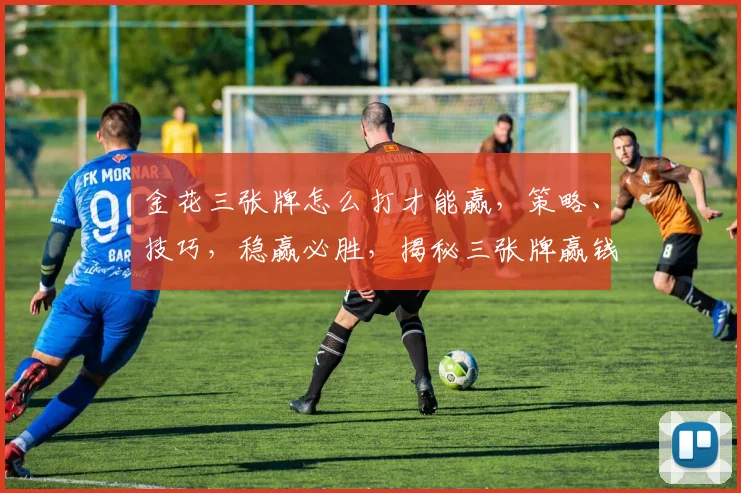 金花三张牌怎么打才能赢，策略、技巧，稳赢必胜，揭秘三张牌赢钱之道